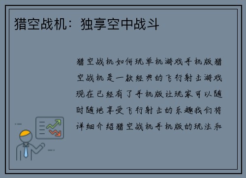 猎空战机：独享空中战斗